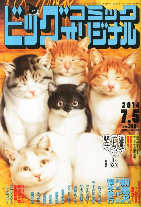 Cover of Big Comic Original 2014 13