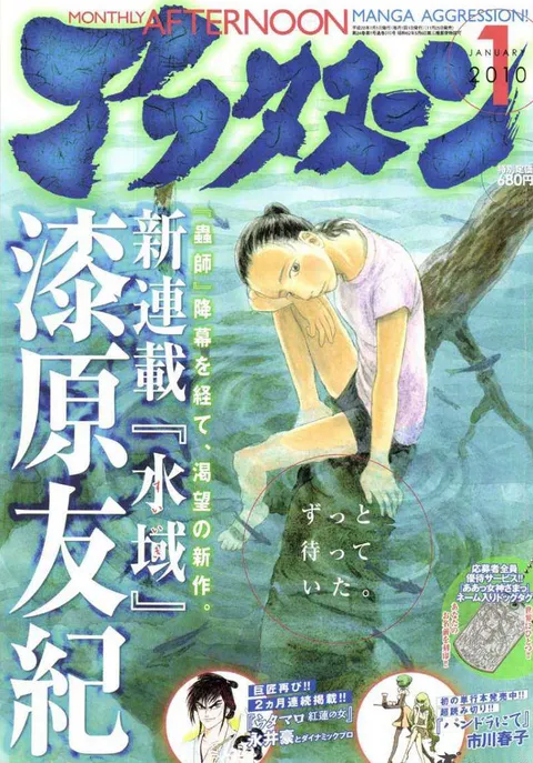 Cover von Afternoon 2010 1