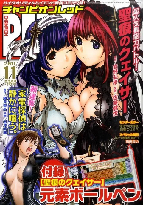 Cover von Champion RED 2011 11