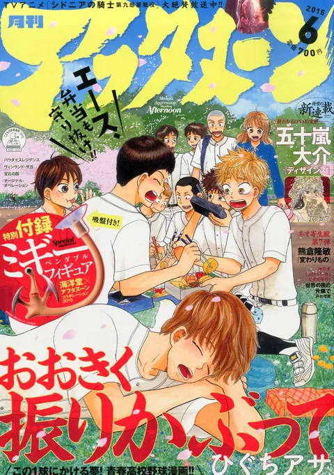 Cover von Afternoon 2015 6