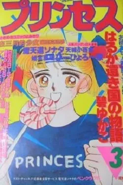 Copertina di Princess 1988 3