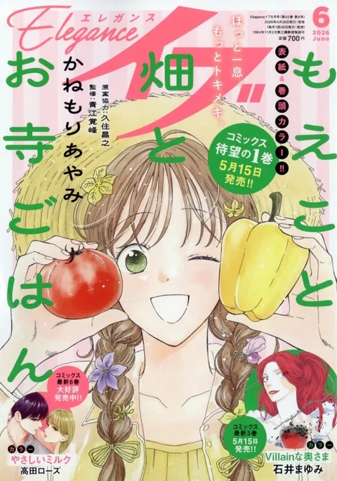 Portada de Elegance Eve 2026 6