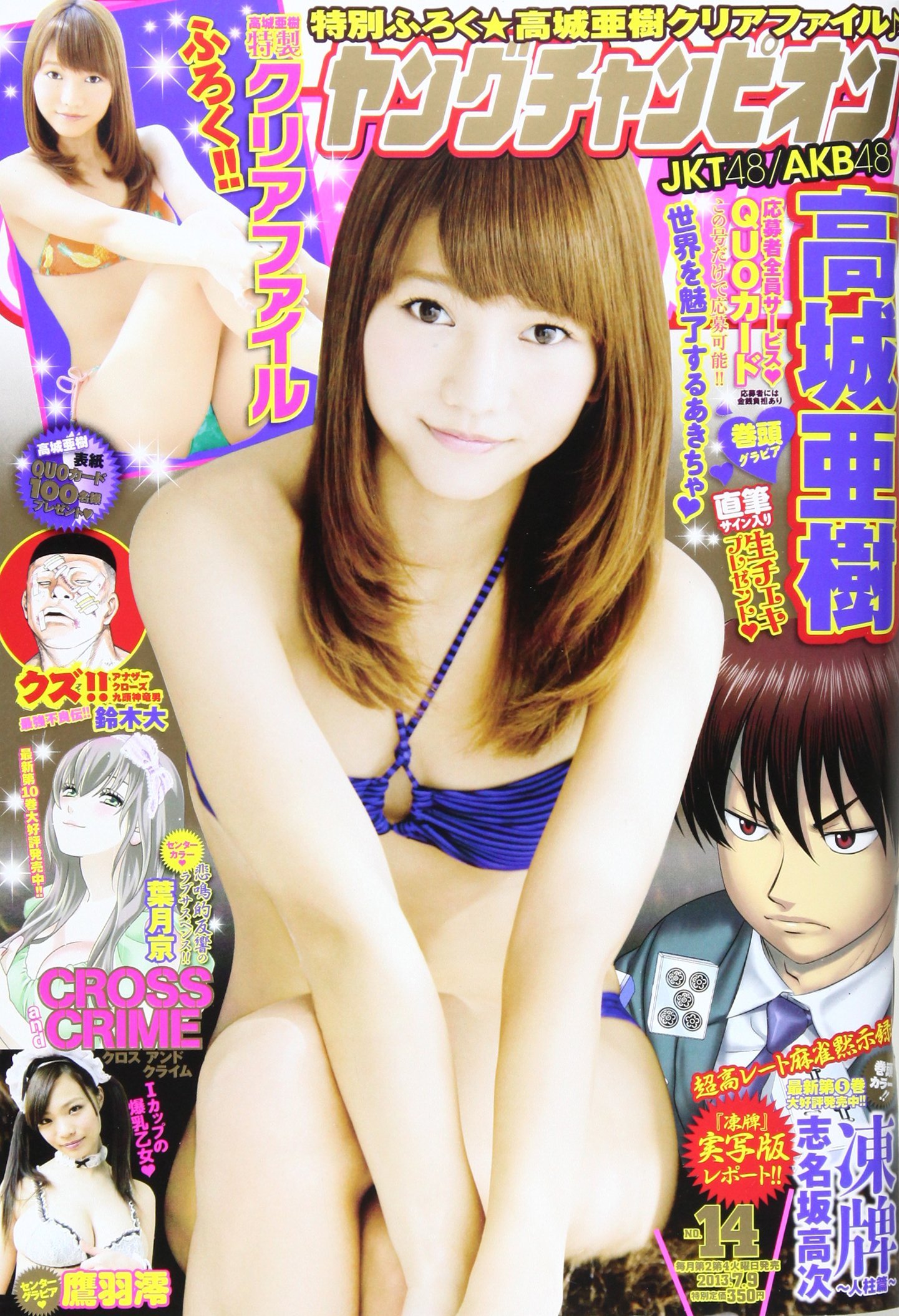Cover von Young Champion 2013 14