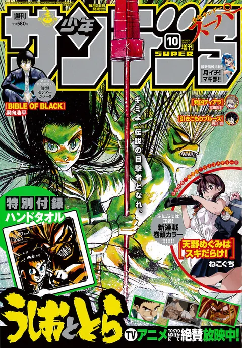 Cover of Shōnen Sunday S 2015 10