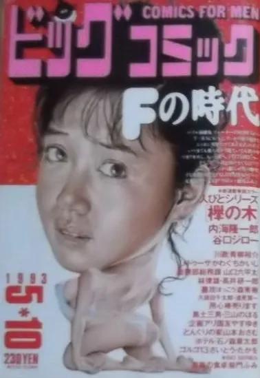 Couverture de Big Comic 1993 9