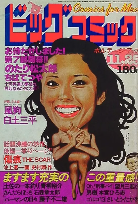 Cover of Big Comic 1979 22
