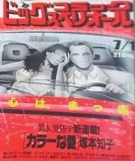 Copertina di Big Comic Superior 1990 13