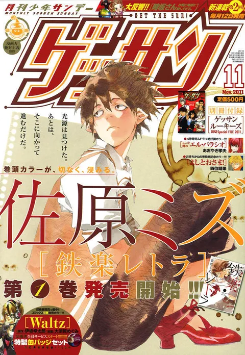 Copertina di Gessan 2011 11