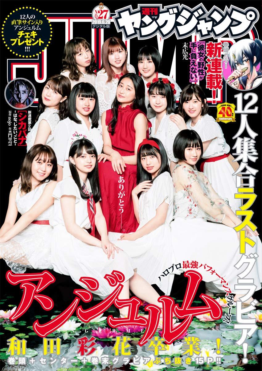 Cover von Weekly Young Jump 2019 27