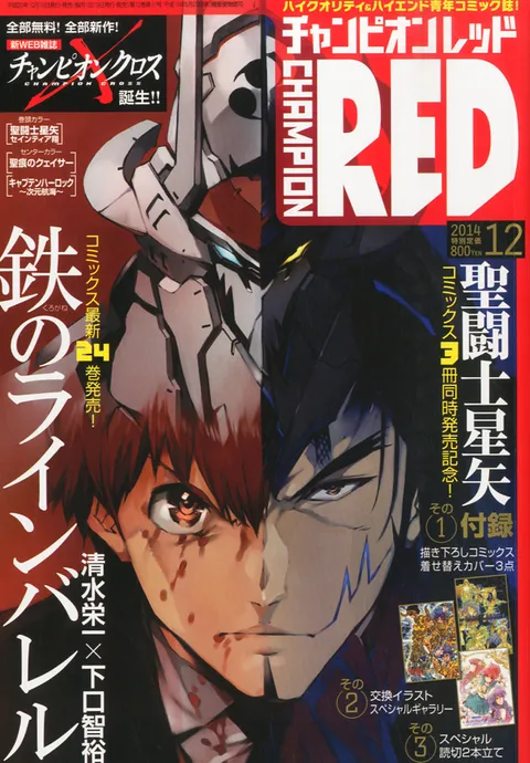 Copertina di Champion RED 2014 12