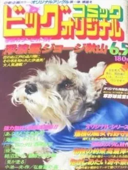 Couverture de Big Comic Original 1979 11