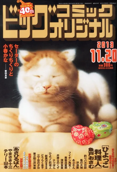 Cover of Big Comic Original 2013 22