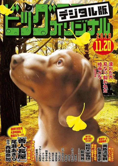 Couverture de Big Comic Original 2019 22