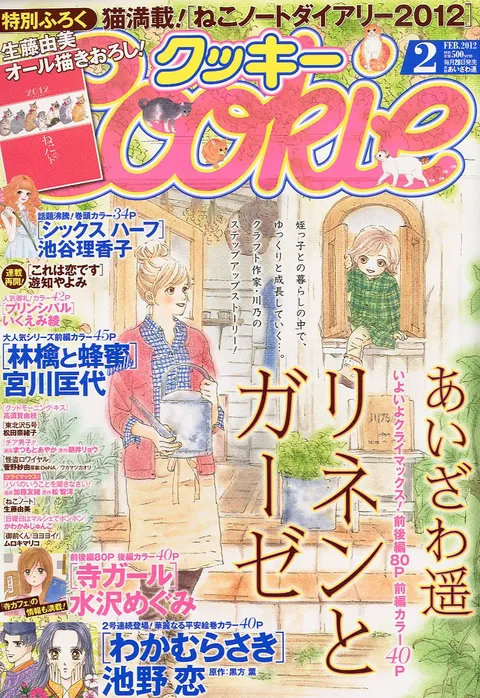Copertina di Cookie 2012 2