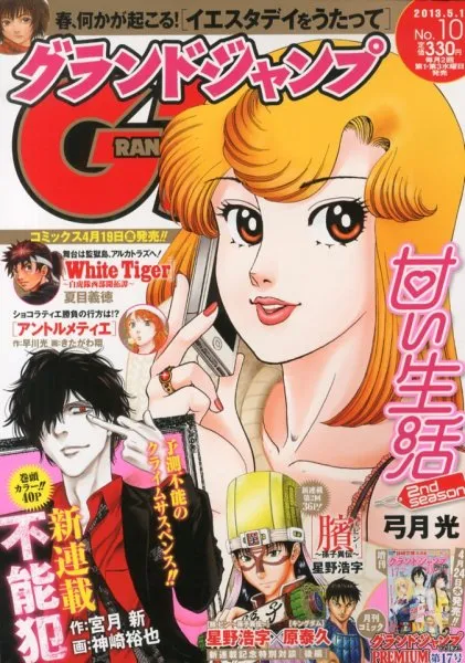 Couverture de Grand Jump 2013 10