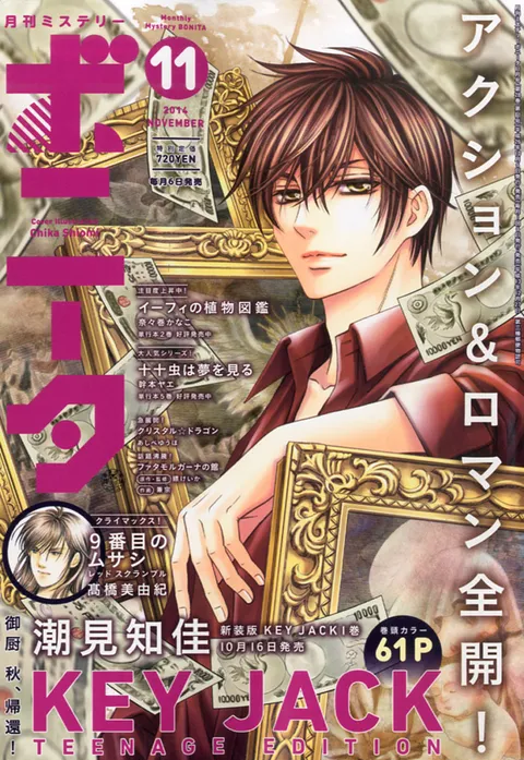 Copertina di Mystery Bonita 2014 11