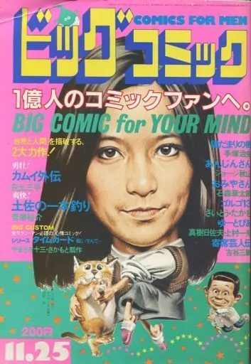 Cover of Big Comic 1982 22