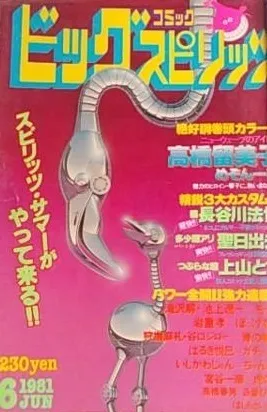 Couverture de Big Comic Spirits 1981 6