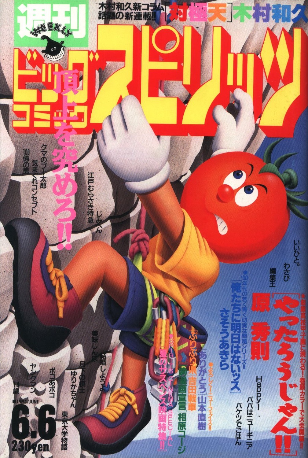Portada de Big Comic Spirits 1994 24