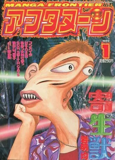 Copertina di Afternoon 1992 1