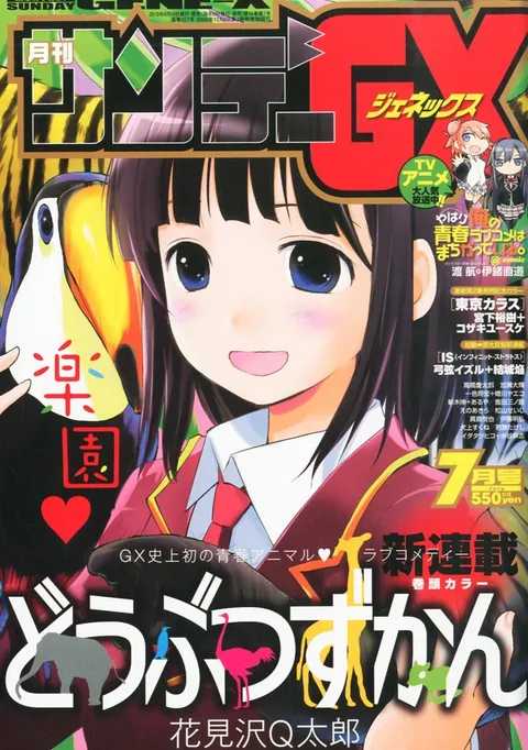 Copertina di Sunday GX 2013 7