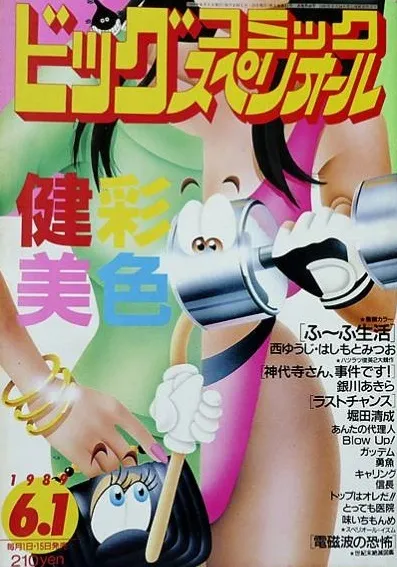 Copertina di Big Comic Superior 1989 11