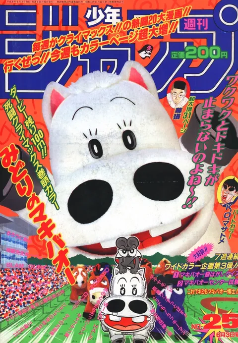 Portada de Weekly Shōnen Jump 1996 25