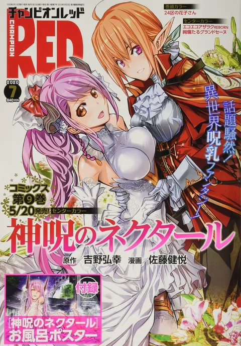 Couverture de Champion RED 2020 7