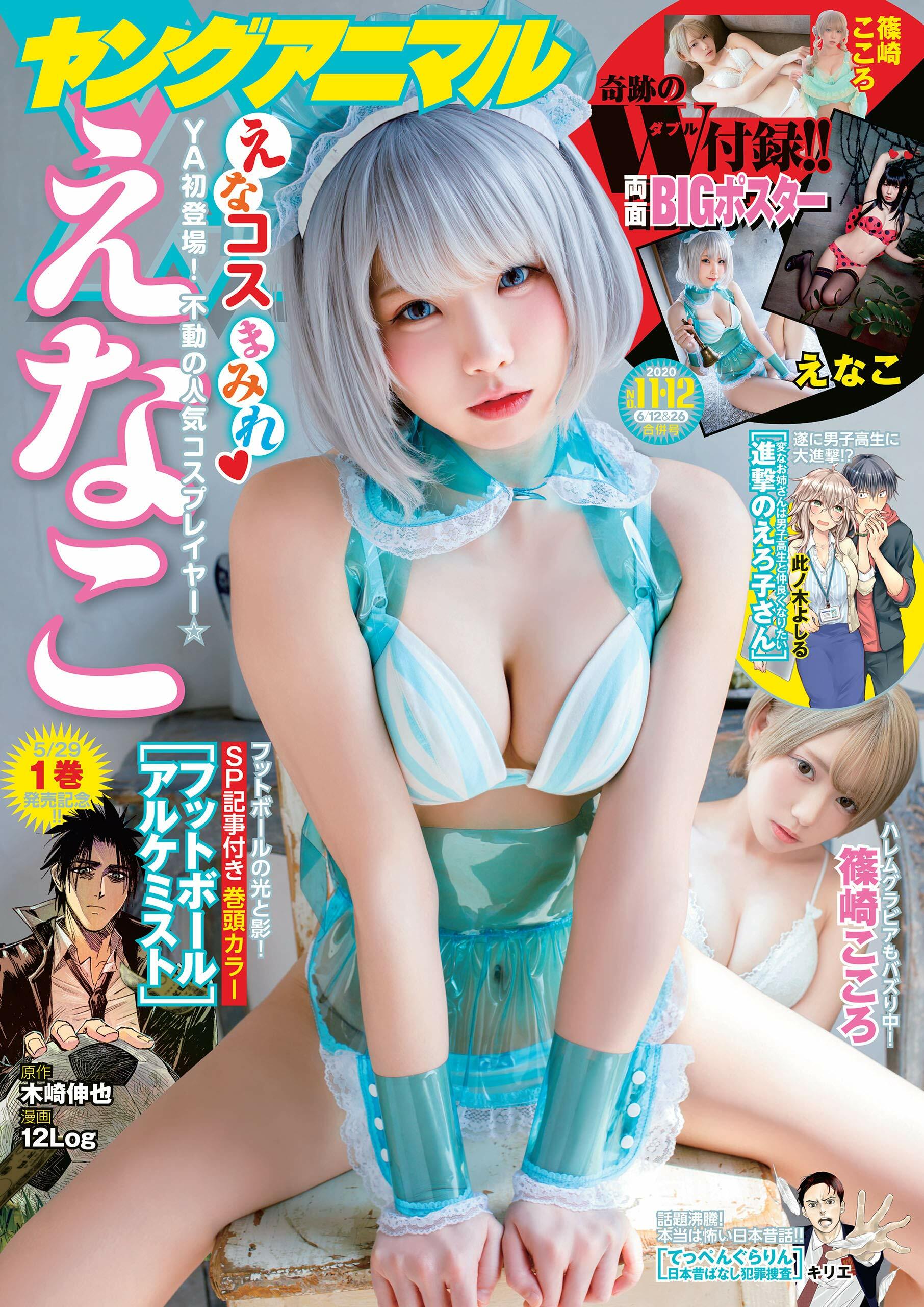 Cover of Young Animal 2020 11-12