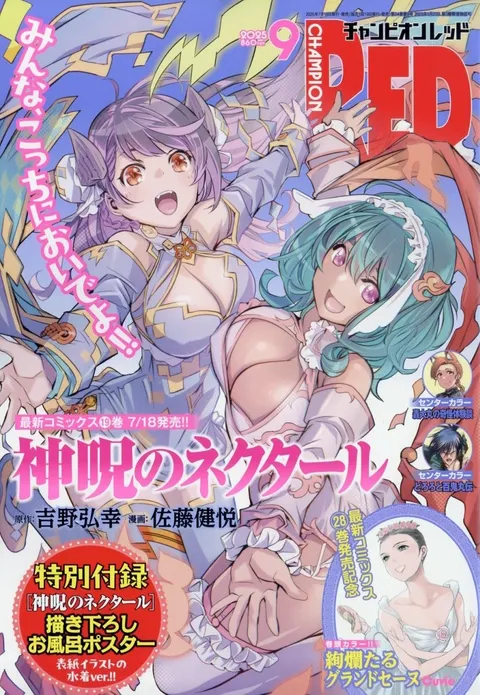 Cover of Champion RED 2025 9