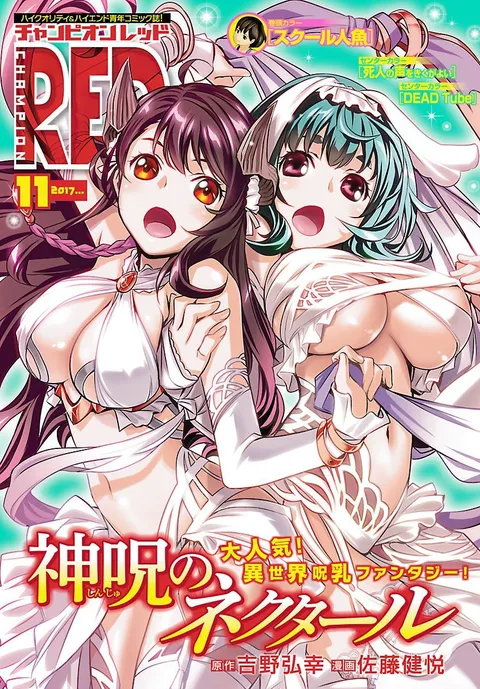 Copertina di Champion RED 2017 11
