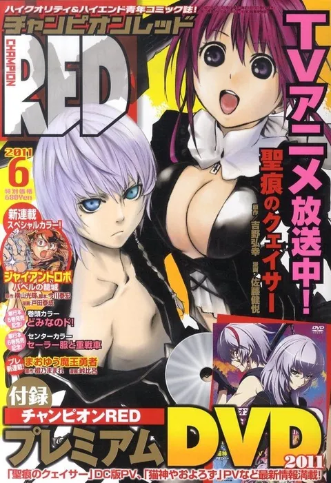 Cover von Champion RED 2011 6