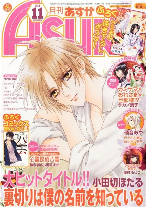 Copertina di Asuka 2013 11