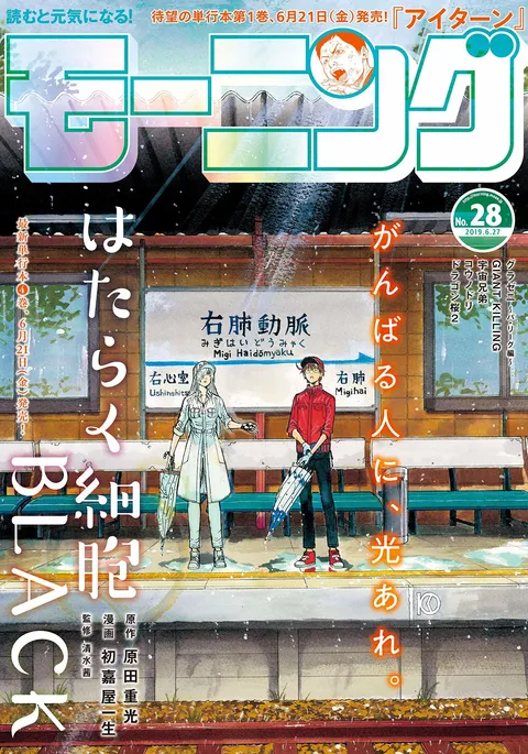 Copertina di Morning 2019 28