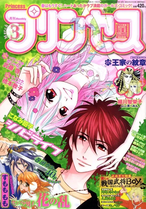 Couverture de Princess 2010 3