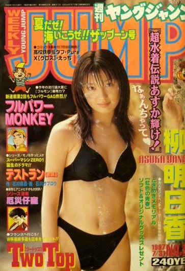 Cover of Weekly Young Jump 1997 33