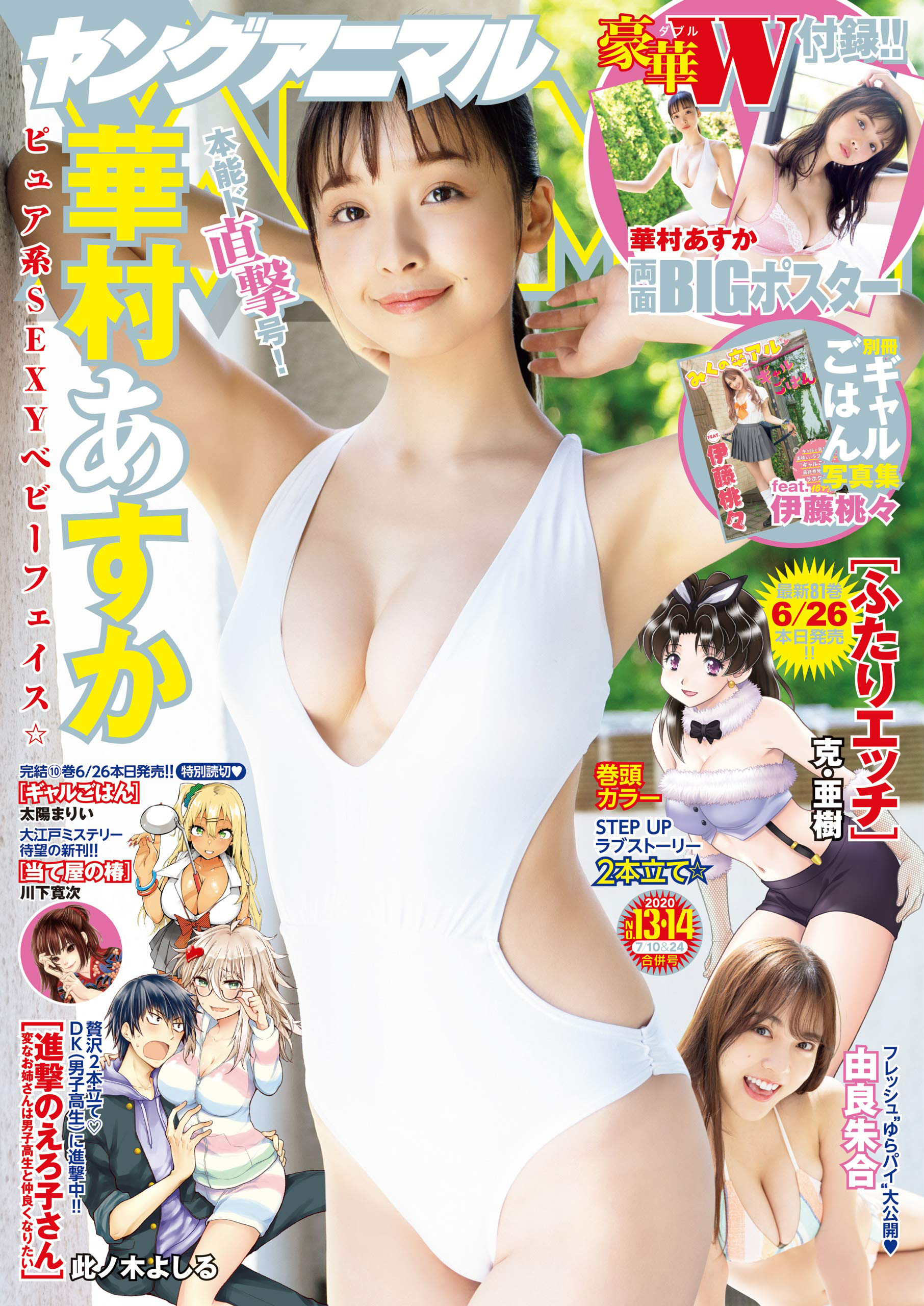 Cover of Young Animal 2020 13-14