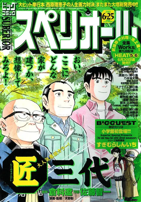 Copertina di Big Comic Superior 2010 13
