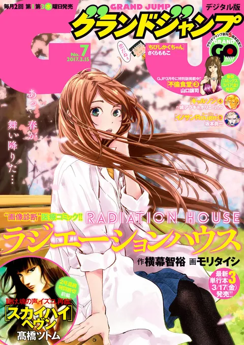Portada de Grand Jump 2017 7