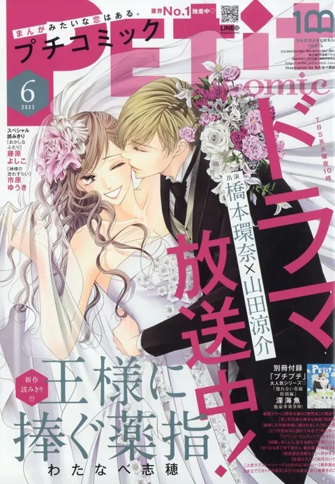 Cover von Petit Comic 2023 6