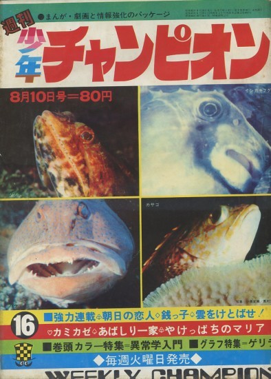 Cover von Weekly Shōnen Champion 1970 16