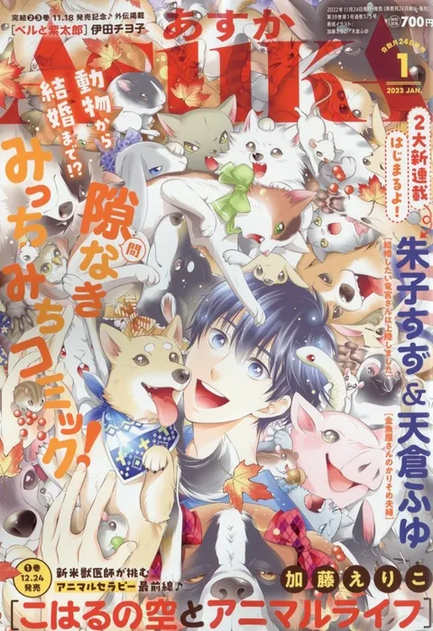 Copertina di Asuka 2023 1