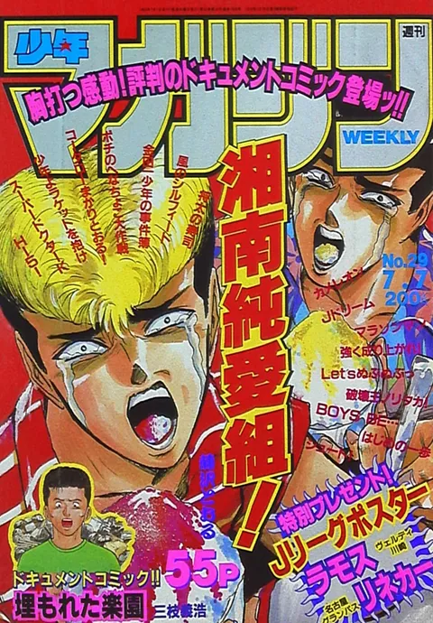 Cover of Weekly Shōnen Magazine 1993 29