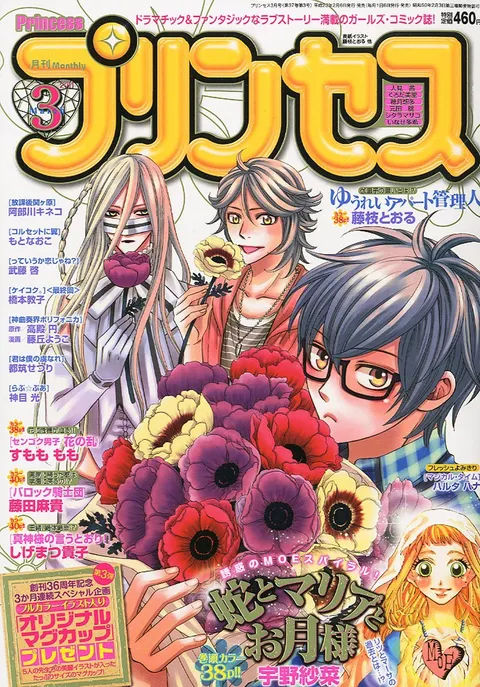 Cover von Princess 2011 3