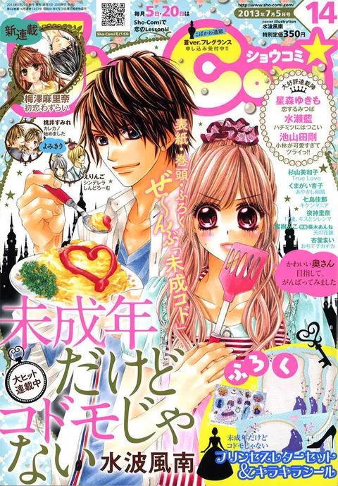 Cover of Sho-Comi 2013 14