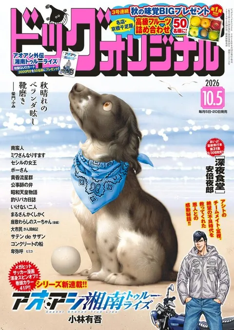 Cover of Big Comic Original 2026 19