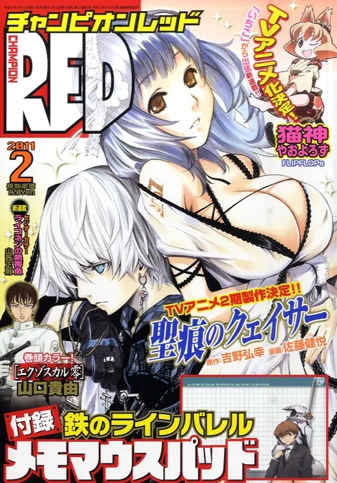 Cover von Champion RED 2011 2