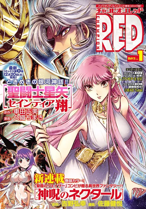 Copertina di Champion RED 2017 1