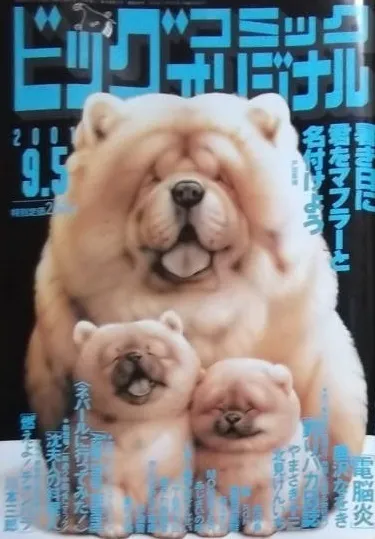 Cover of Big Comic Original 2001 17