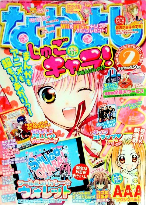 Cover von Nakayoshi 2008 2